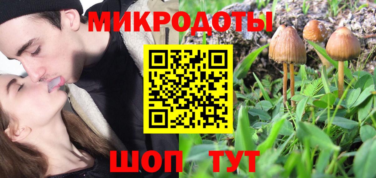Галлюциногенные грибы Psilocybe  Галлюциногенные грибы ЛСД  Вход с VPN  Гатчина 